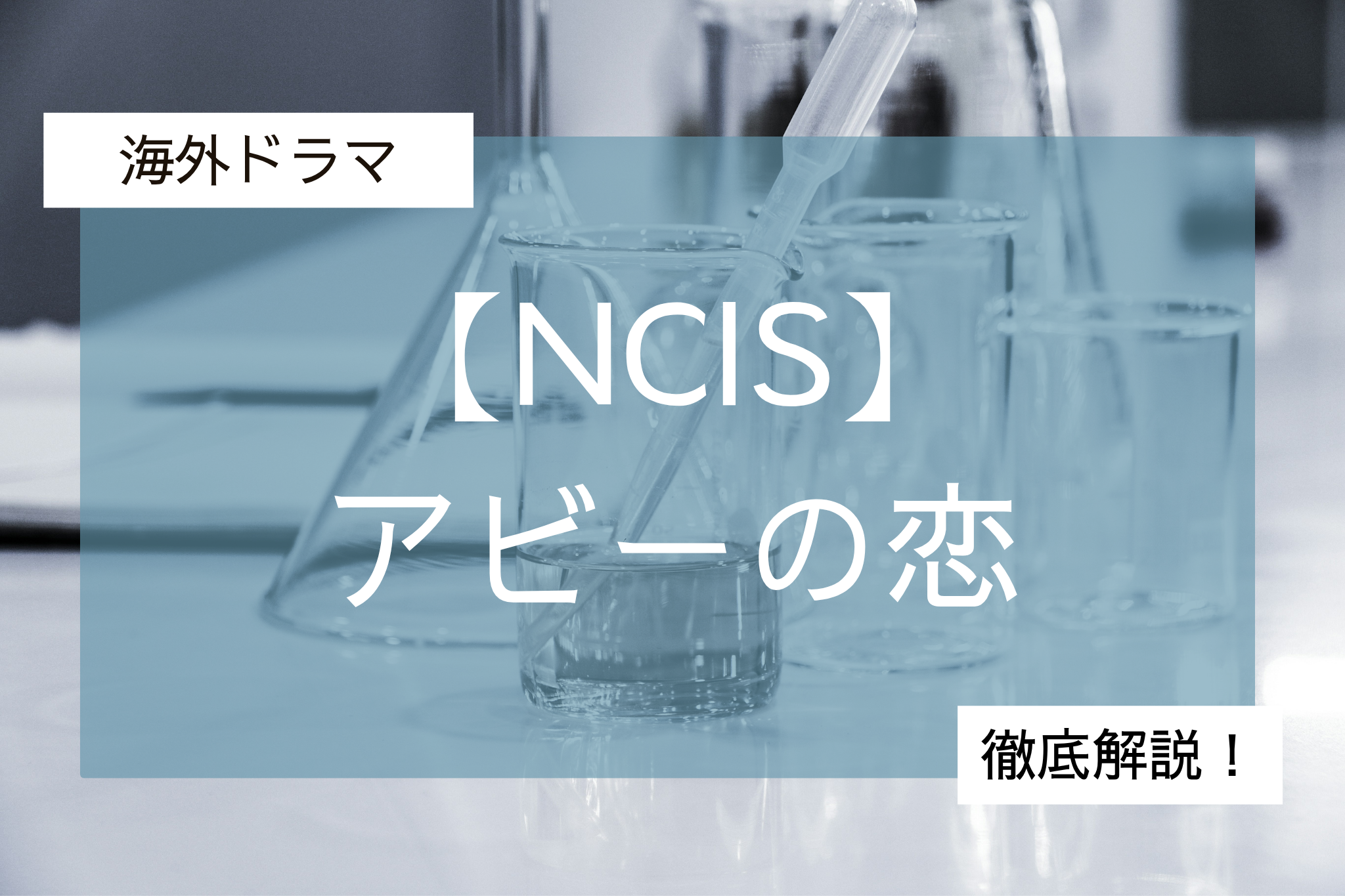 NCISアビーの恋