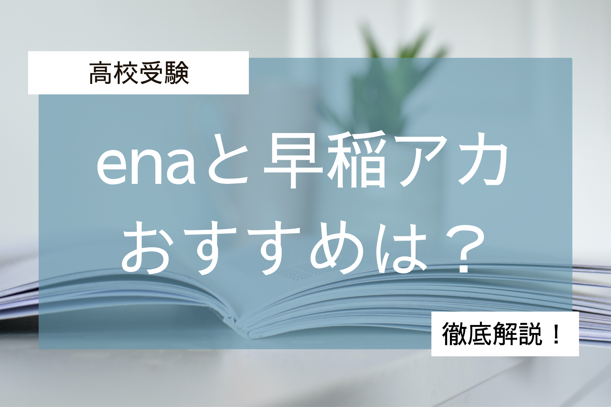 エナと早稲アカ