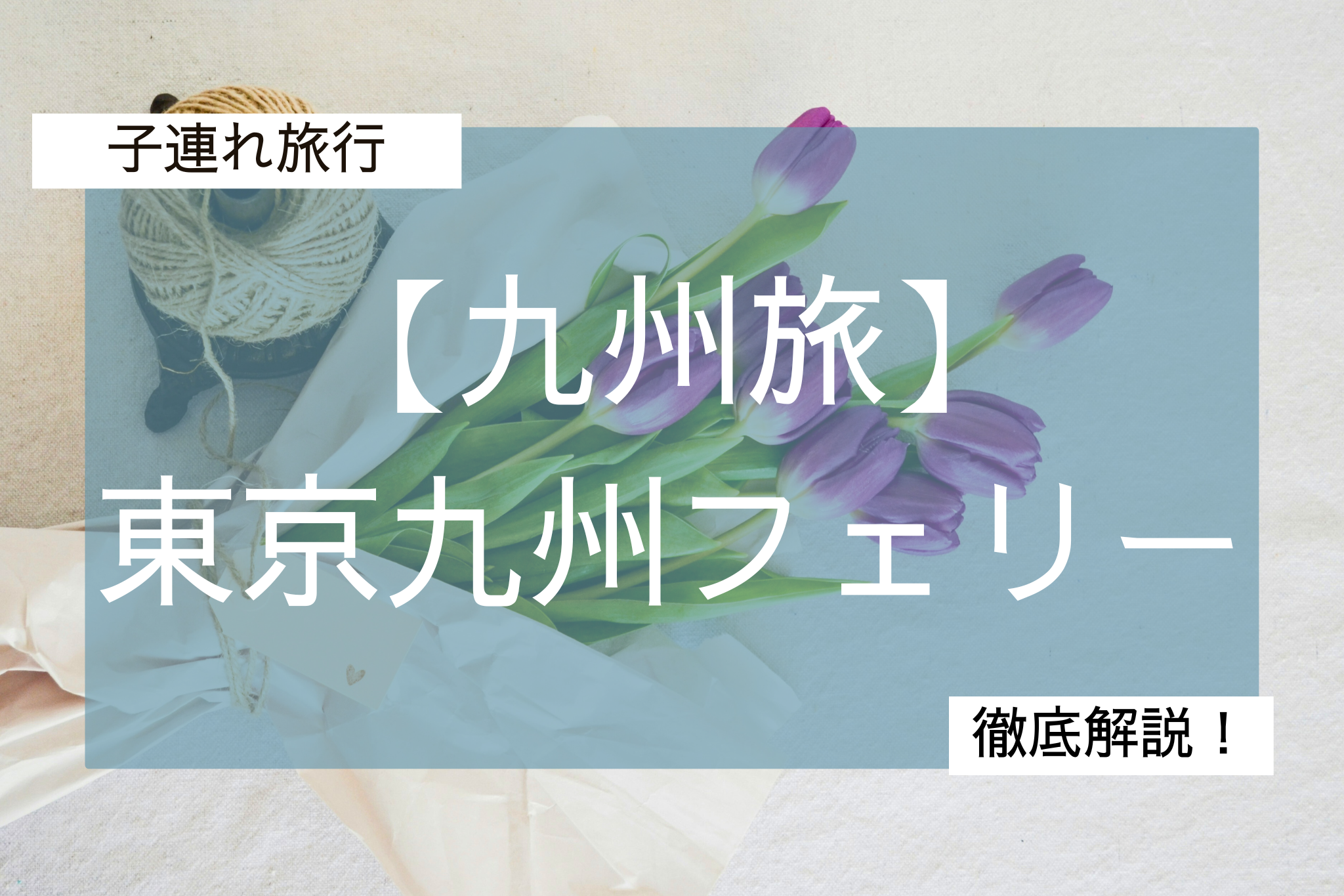 東京九州フェリー